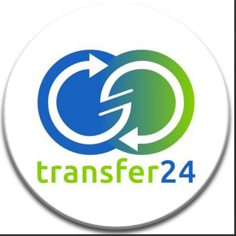 Transfer24pro Currency Exchanger Reviews Analysis Arcade